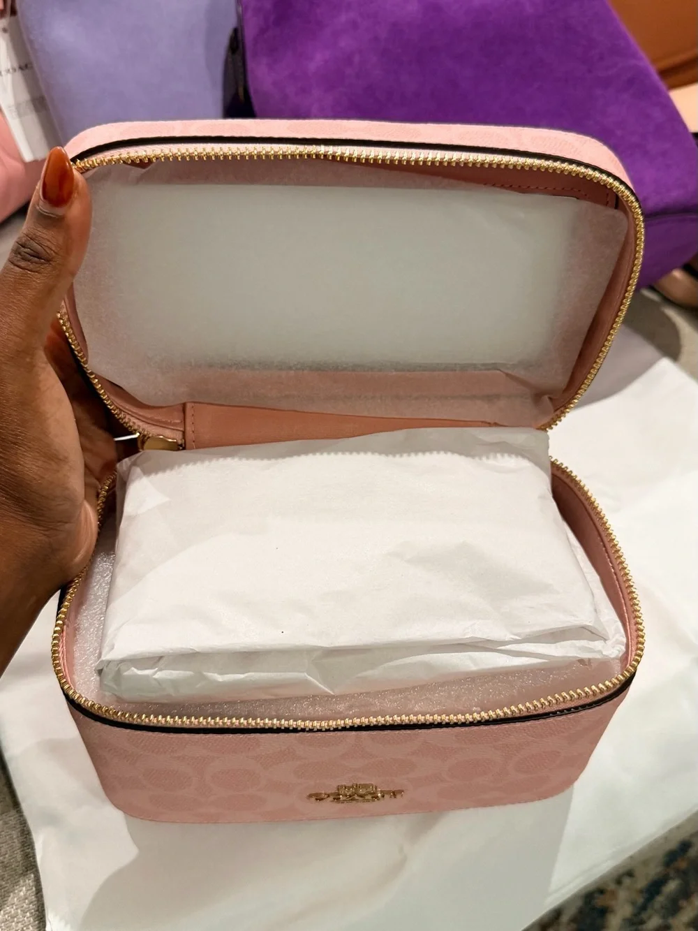 NWT Coach Powder Pink Canvas Vanity Case with Gold Hardware